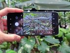 Xiaomi Redmi Note 10s (Used)