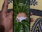 Xiaomi Redmi Note 11 (Used)