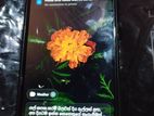 Xiaomi Redmi Note 12 Pro Plus 5G (Used)