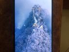 Xiaomi Redmi Note 13 Pro (Used)