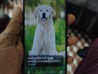 Xiaomi Redmi Note 9 Pro Max (Used)