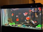 Xi Long Branded Fish Tank