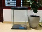 Xilong Fish Tank