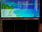 XILONG HK-1000G 240L RECTANGULAR GLASS AQUARIUM WITH 4 FLAGTAIL FISH