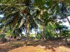 காணி விற்பனைக்கு அரியாலை யாழ்ப்பாணம்