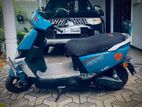 Yadea Ruibin e bike 2024