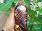 Yahya Herbal Care