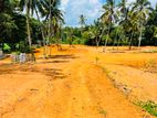 Yakkala Best Land for Sale Near the Kandy Road 500 M