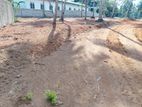 Yakkala Best Residential Land in Fast Growing Area
