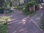 Yakkala Bogamuwa 33.8 Perches of Bare Land for Sale