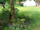 Yakkala Kalagedihena Land for Sale