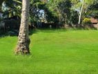 Yakkala Kalagedihena Quality land for sale