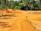 Yakkala නගරයෙන් නුවර පාරට ඇවිදින දුරින් ඉඩමක්