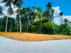 Yakkala නගරයෙන් නුවරපාරට ඇවිදින දුරින් වටිනා ඉඩමක් විකිණීමට