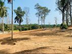 Yakkala නගරයට නුදුරින් වටිනා ඉඩමක් | ප්‍රධාන පාරට ඇවිදින දුරින්