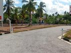 Yakkala Town Land for Sale Walking Distance to Kandy Road