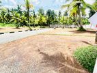 Yakkala Valuable Land For Sale Near Kandy Colombo Road