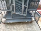 Bird Cage