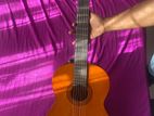 Yamaha Acoustic Guitar