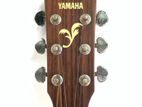 YAMAHA acoustic guitar