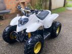 Yamaha Atv 2022