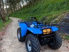 Yamaha ATV Beach Quad Farm 2016