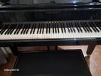 Yamaha Baby Grand Piano