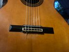 Yamaha C - 150 Made in Japan Classic Box Guitar