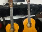 Yamaha C40/C70 Classical Guitars