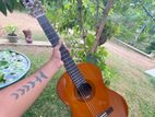 Yamaha C40 Guitar
