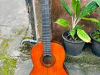 Yamaha C40 Guitar