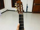 Yamaha C40 Guitar