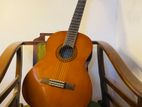 Yamaha C40 Guitar