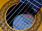 Yamaha C40 Guitar