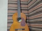 Yamaha C40 Guitar