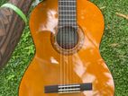 Yamaha C40 Guitar