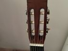 Yamaha C40 Guitar With Cover