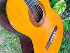 Yamaha C70 Classical Box Guitar