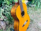 Yamaha C70 Classical Box Guitar