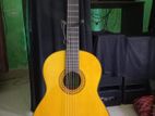 Yamaha C70 Guitar