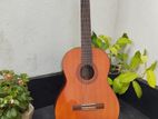 Yamaha C70 Classical Guitar