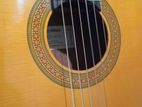 Yamaha CG143S Solid Top