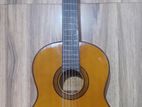 Yamaha Classical Guitar
