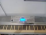 Yamaha DGX-300 Portable Grand Keyboard