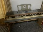 Yamaha - Digital Piano DGX-630