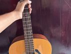 Yamaha F310 Acoustic Guitar