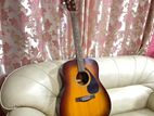 Yamaha F310 TB Japanese Accoustics Box Guitar