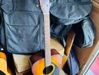 Yamaha F310P TBS Acoustic Guitar