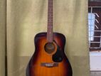 Yamaha F39PJ TBS Acoustic Guitar