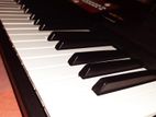 Yamaha F51